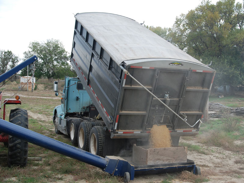 Electric Gate and Hoist Electric Gate and Hoist